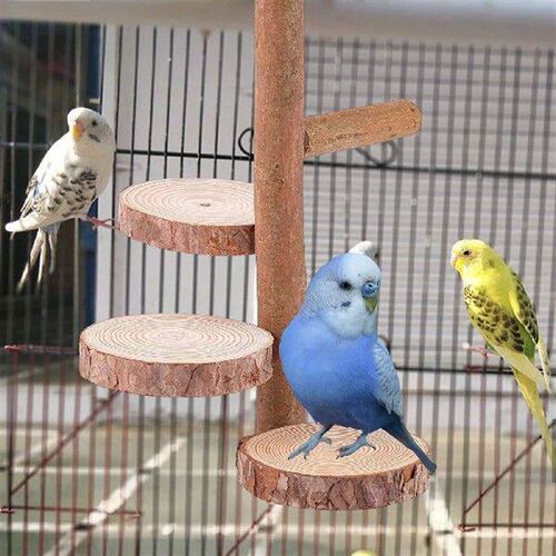 Bird Perch Stand Toy Durable Bird Cage Standing Resting