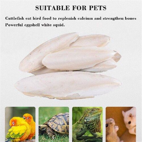 Cuttlefish Bone Parrot Chew Toy Hamster Parrot Food