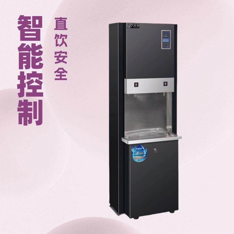 智能控制不锈钢步进式商用开水器一开一直饮豪华型直饮水设备