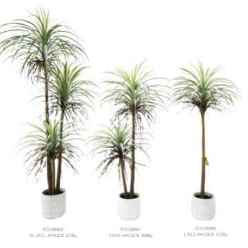 含阳仿真丝兰树盆栽绿植样板房客厅大型落地装饰植物盆景摆件造景,3C数码配件,其它配件,淘宝优惠券,粉丝福利购,淘宝优惠卷