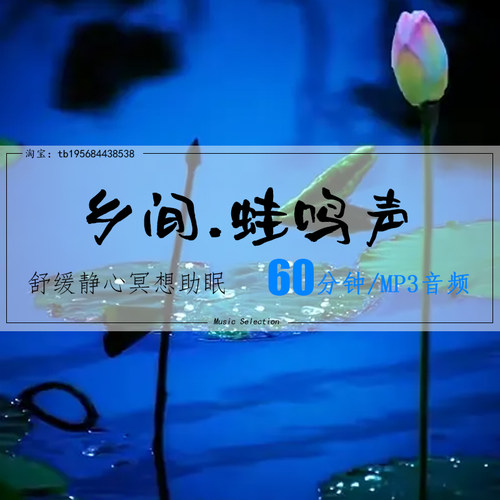 爆款农村乡下田野夏季夜晚蛙鸣声白噪音MP3音频下载助眠解压必备