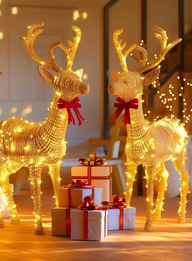 Christmas LED decorative light,Outdoor String Fairy Lights