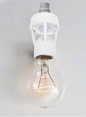 Induction Lamp Holder Bulb B22 To E27 E14 To E27 Smart