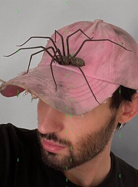 跨境爆品  plastic spider as decoration 塑料装饰蜘蛛恶搞摆饰