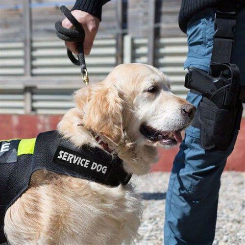 2Pcs Dog Vest Patch Premium Reflective Self adhesive