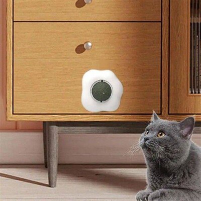 Catnip Balls For Cats Wall Fried Egg Shape Cat Nips Organic