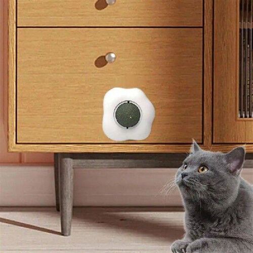 Catnip Balls For Cats Wall Fried Egg Shape Cat Nips Organic