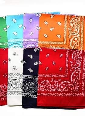 Polyester paisley Square Punk Hip Hop Bandana Neckerchief He