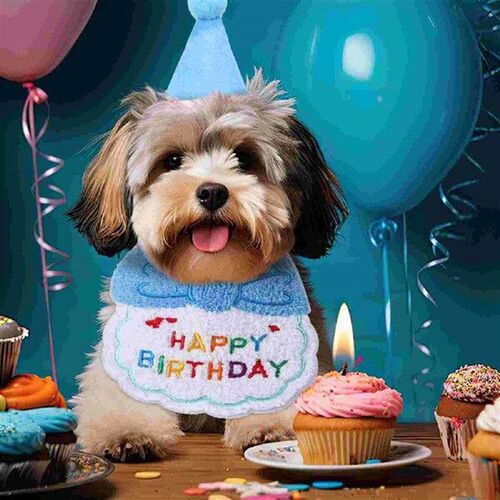 Happy Birthday Decorations Pet Bib Set Dog Outfit Ornament