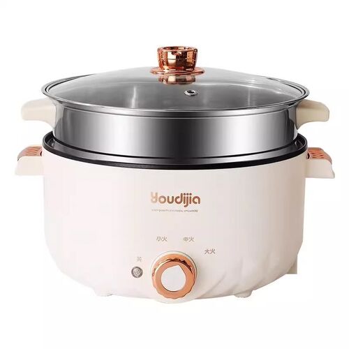 110V Multi-functional Electric Cooking Pot, Overseas, Hong