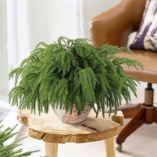 Green Artificial Norfolk Pine Branches DIY Wreath Plastic