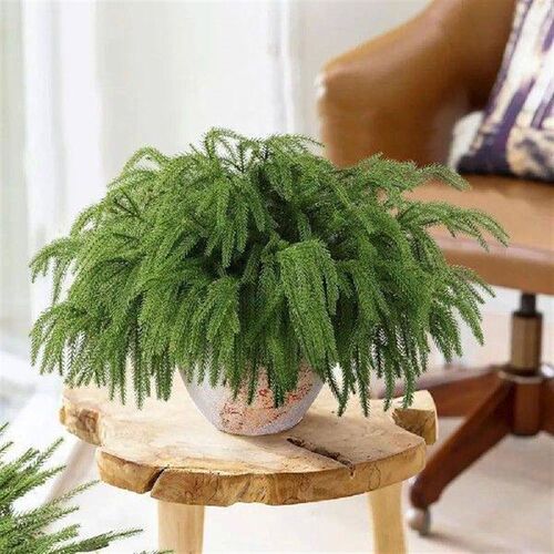 Green Artificial Norfolk Pine Branches DIY Wreath Plastic