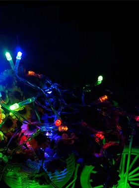LED Christmas Lights For Holiday Party Wedding Decoration