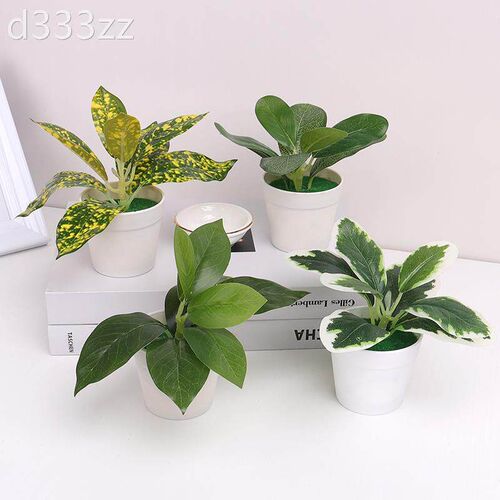 Mini Artificial Plants Bonsai Small Simulated Aloe e Pot Pla