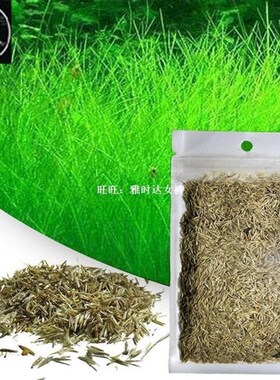 Aquarium Plant Seeds Water Aquatic Green Water Grass Decorat