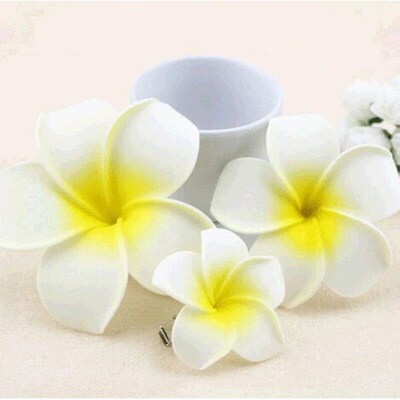 Sunny Bright Plumeria Seashore Flower Foam Hair Clips 3 Size