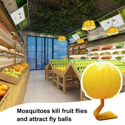 Gnat Trap Tool Effective Indoor Outdoor Sticky Fly Trap