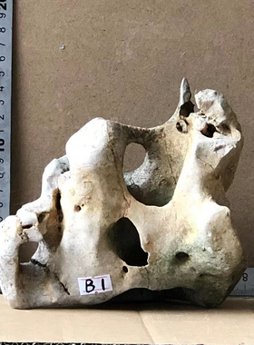 太湖石 假山盆景石头小摆件鱼缸造景附石观赏石天然石材原石抱石