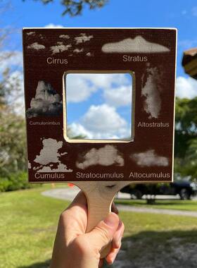 自然指南查找器 云朵树叶昆虫创意向导工艺品Nature Guide Finder