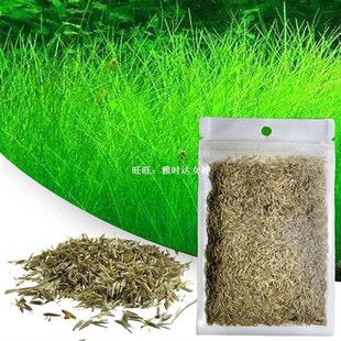 Aquarium Plant Seeds Water Aquatic Green Water Grass Decorat
