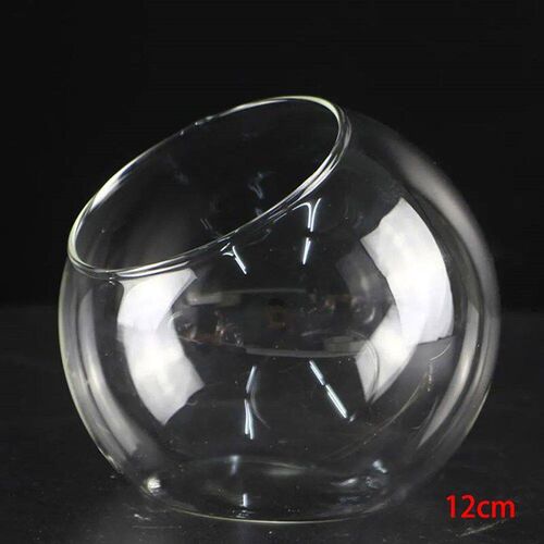 1PC Creative Clear Glass Ball Vase Micro Landscape Glass Vas