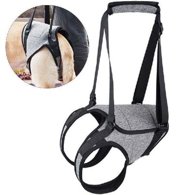 Dog Back Leg Support Strap Padded Lift Harness for Elderly