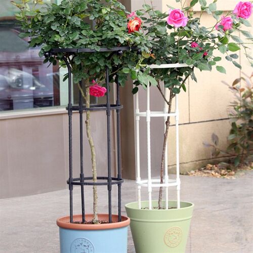Single Ring Umbrella-Shaped Rose Climbing Frame Climbing