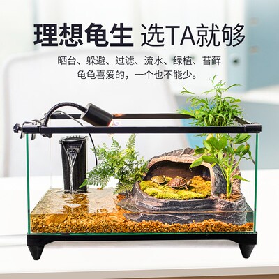 Glass turtle tank feeding box tortoise habitat aquarium set