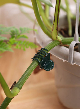 100PCS Plastic Plant Support Clips Orchid Stem Clip for Vine