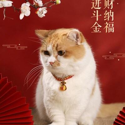 Pet dog collar cat collar bell necklace accessories项圈猫