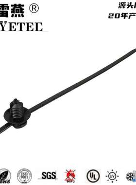 带杉树头和圆盘的汽车固定扎带 156-00634/156-00711/T50RFT6LG