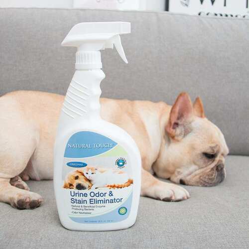 Enzymes and spray pet dog and cat except for the urine