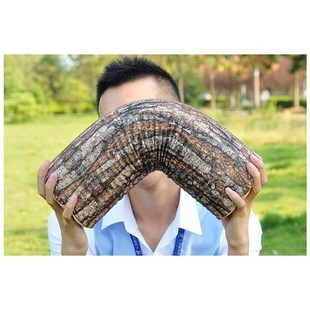 Simulation Log Round Big Willow e Removable Washable Cushio