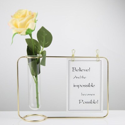Hanging Test Tube Transparent Glass Vase Metal Flower Holder