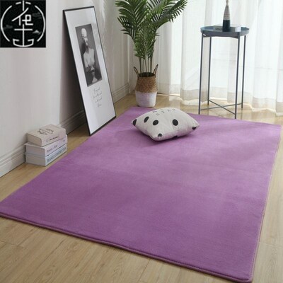 Living Room Carpet bedroom Soft Rug Carpets floor mats