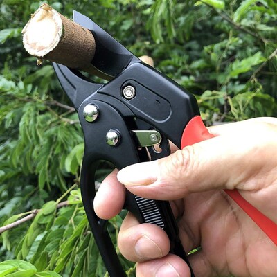 Ratchet Anvil Pruning Shears Garden Clippers Anvil Pruner