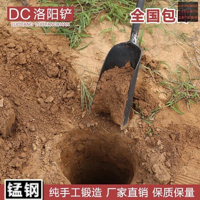 洛阳铲子头取土器挖土坑打洞打井铁铲锹考古勘探铲小电线杆工具