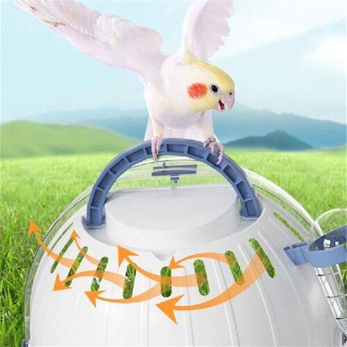 Small Animal Parrots Bag Easy To Carry Mini Box for Kid