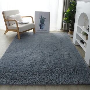 Fluffy Shaggy Carpet 地毯垫 Bedroom Mat for Rugs Area Floor