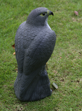 17 x 17.5 x 41cm Garden Fake Realistic Bird Scarer Scarecrow