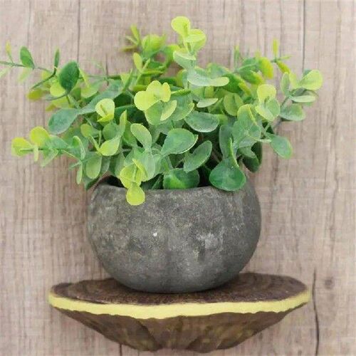 Wall Mount Mushroom Shelf 3pcs Wall Floating Mushroom