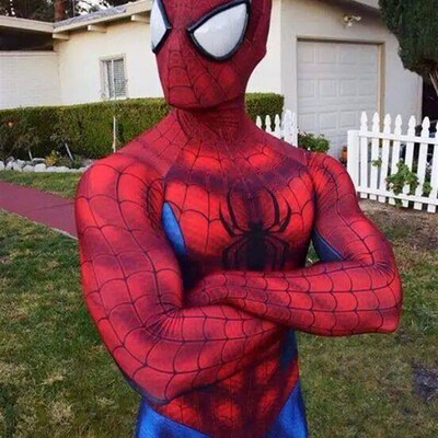 The Amazing Spiderman Superhero Costume 3D Printing Costumes