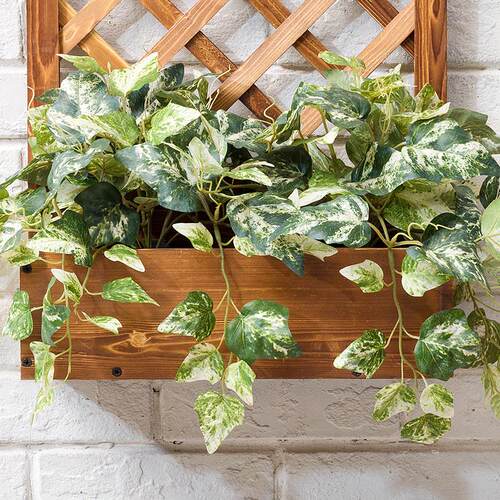 Shelf solid wood landing balcony room meaty flower pot 花架