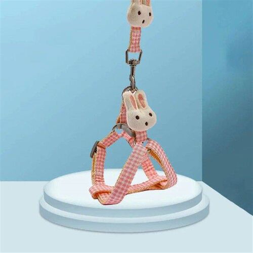 Stylish and practical vest and leash set for your furry