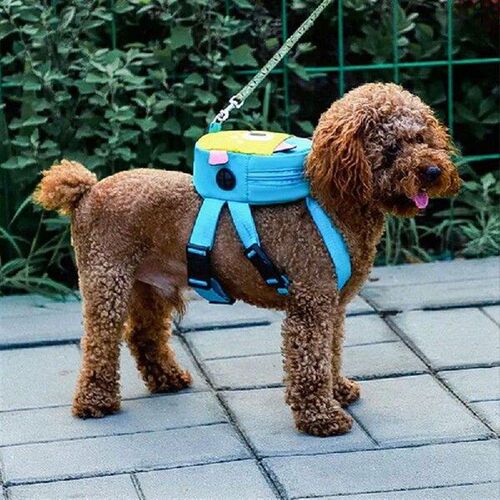 Oxford Cloth Puppy Bag with Training Leash Dog Pocket