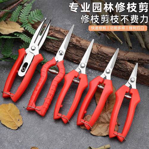 不锈钢037B花园修枝剪果树剪户外摘果剪树枝剪枝头工具剪园艺