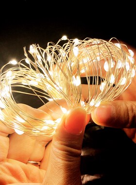 1M 2M 3M 5M 10M Copper Wire LED String Lights Christmas