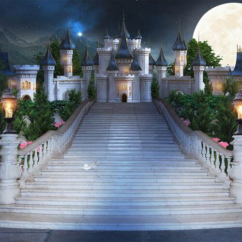 Castle Palace Photography Backdrop girls princess birthday