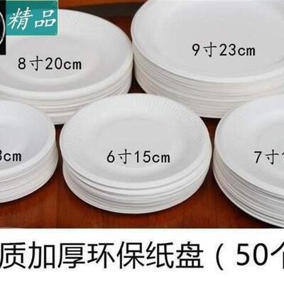 新款 single-use paper blank plates kindergarten childrens