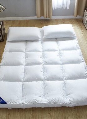 Thick 10cm soft mattress cushion foldable floor tatami mat